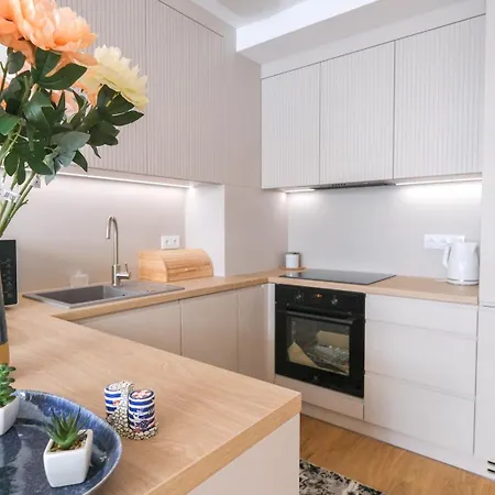 公寓 Luxury Free Parking - By Hosty 克拉科夫